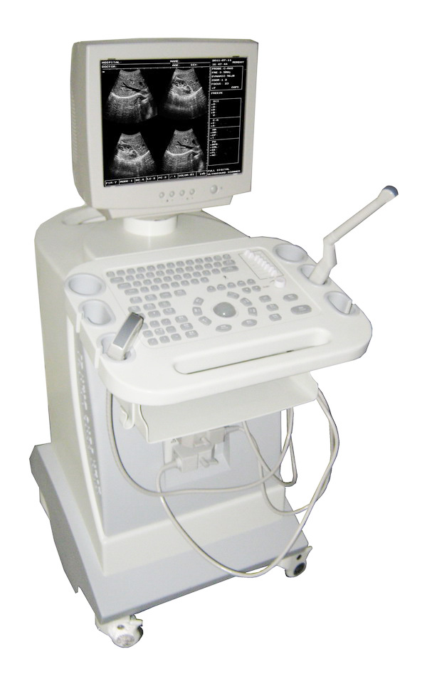 点击查看详细信息...